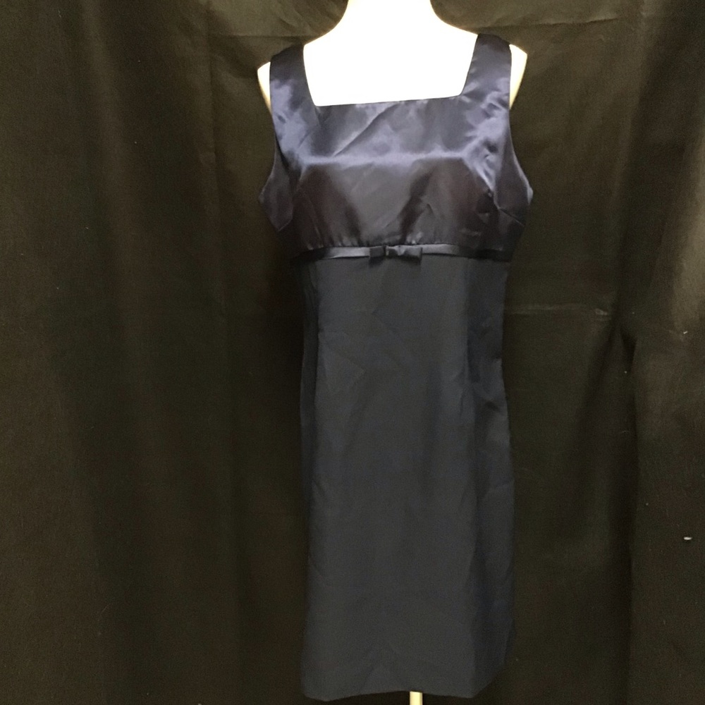 Dark Blue Sleeveless Sheath